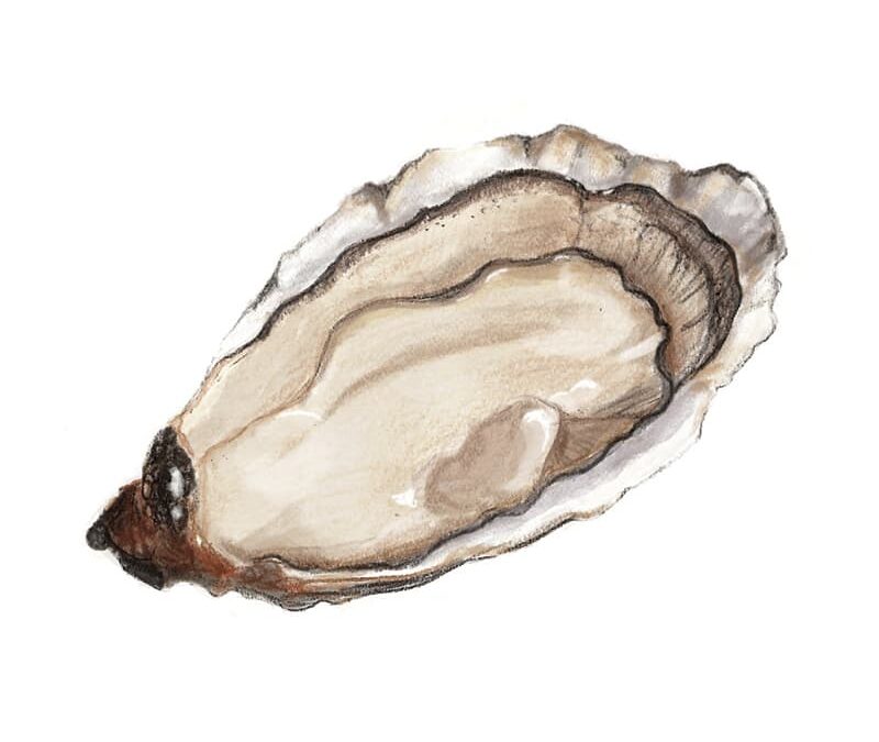 Spéciale de Claire